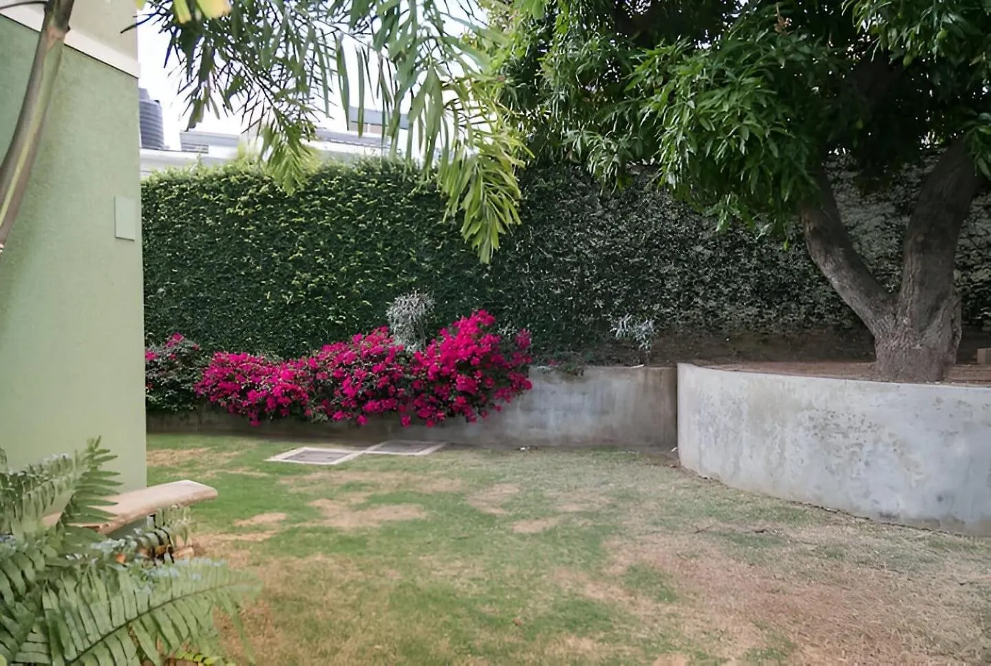 Lejlighed 1-Bed Smart Access Condo Near Bob Marley Museum Kingston Jamaica