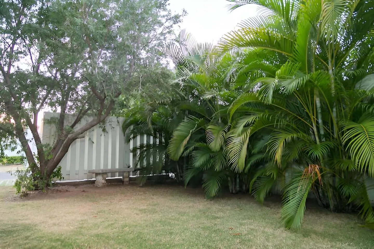 Διαμέρισμα 1-Bed Smart Access Condo Near Bob Marley Museum Κίνγκστον